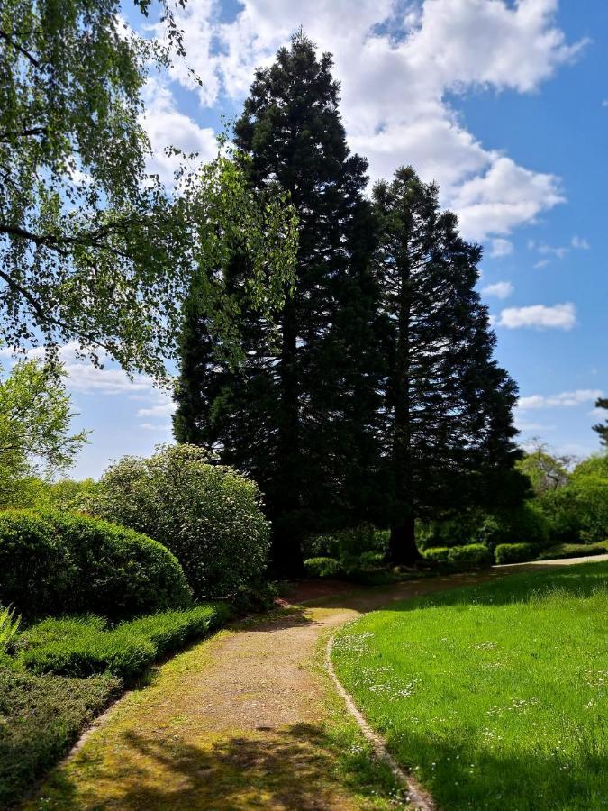 Appartamento Zur Steinhoehle Nuembrecht Esterno foto
